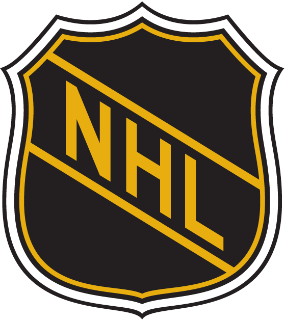 National Hockey League 1917-1946 Primary Logo DIY iron on transfer (heat transfer)